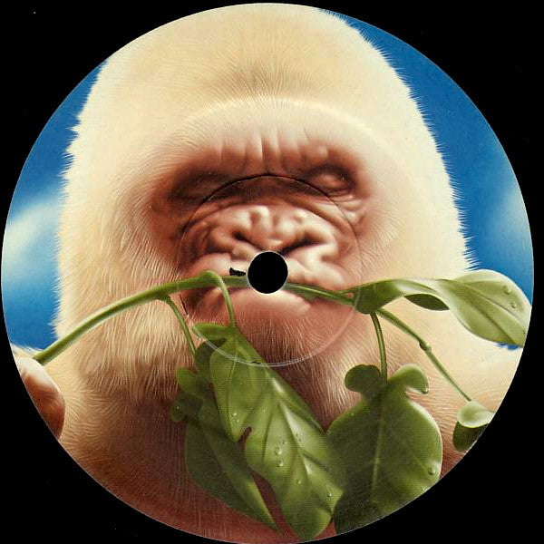 Basement Jaxx – Rooty (2xLP) LP vinyl record, image 7 of 10