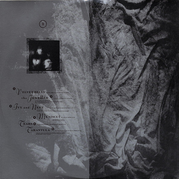 This Mortal Coil – Filigree & Shadow (2xLP) LP vinyl record, image 7 of 10