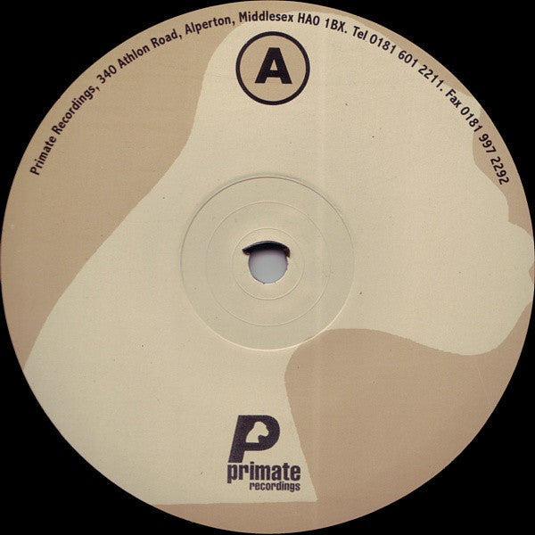 Various – Origins Of Man Vol. 2 (The Evolution) E.P. 12" vinyl record, image 3 of 4