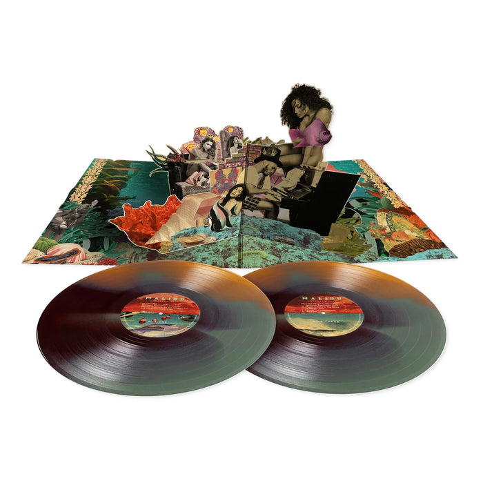 Anderson .aak – Malibu (2xLP, 10 Year Anniversary) - Image 4