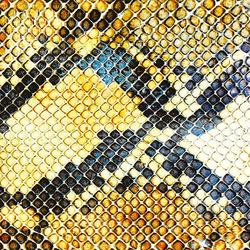 The Amazing Snakeheads – Amphetamine Ballads (LP, Vinyl Record Album)