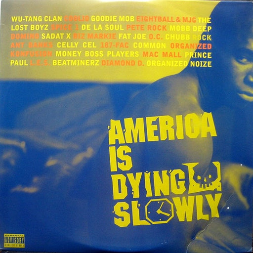 Various – America Is Dying Slowly (LP, Vinyl Record Album)
