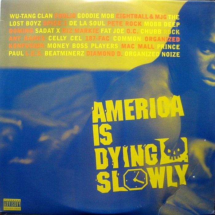Various – America Is Dying Slowly (LP, Vinyl Record Album)