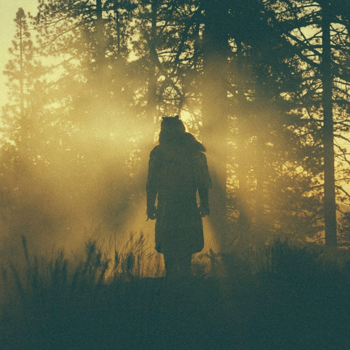 Thundercat – The Beyond / Where The Giants Roam (LP, Vinyl Record Album)