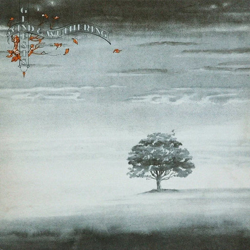 Genesis – Wind & Wuthering LP vinyl record, image 1 of 2