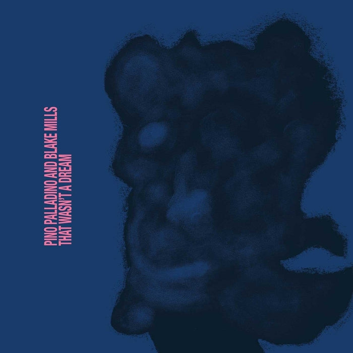 Pino Palladino, Blake Mills – That Wasn't A Dream (LP, Vinyl Record Album)
