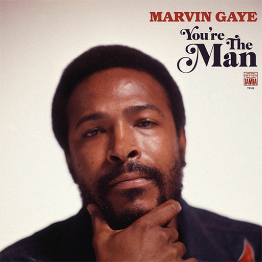 You're The Man – Marvin Gaye (LP, Vinyl Record Album)