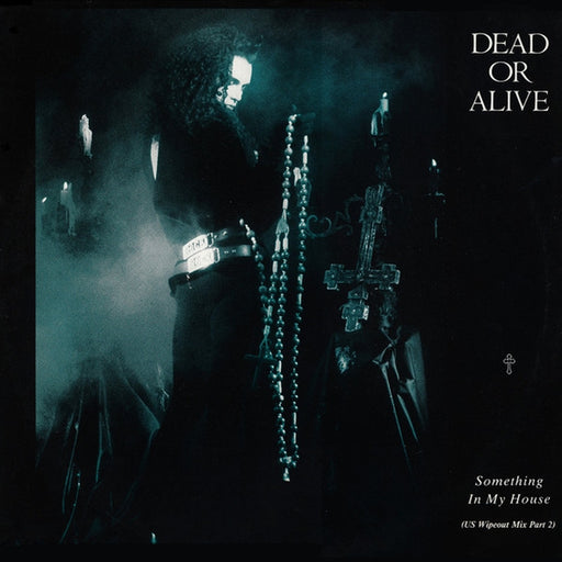 Dead Or Alive – Something In My House (US Wipeout Mix Part 2) (LP, Vinyl Record Album)