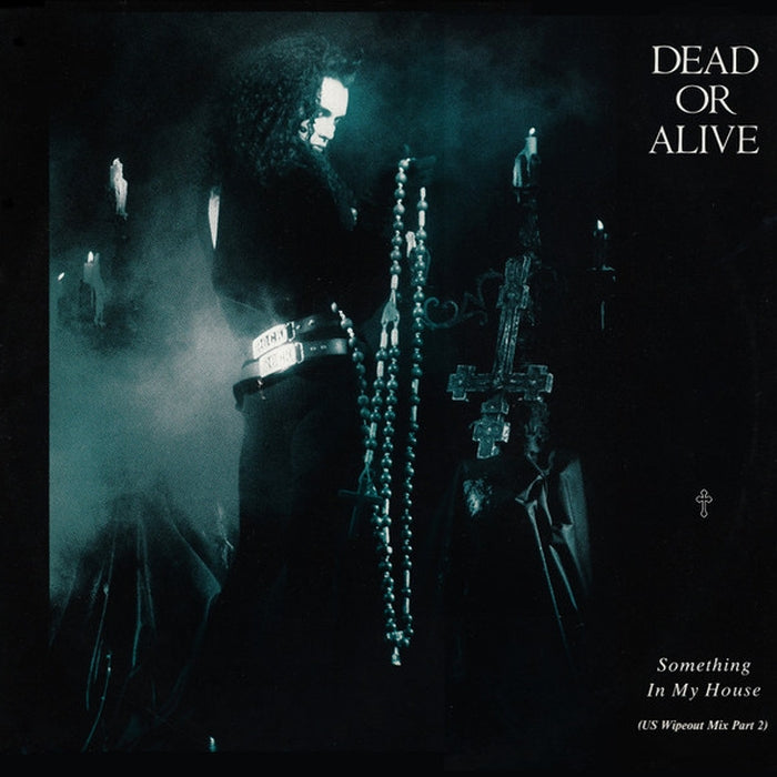 Dead Or Alive – Something In My House (US Wipeout Mix Part 2) (LP, Vinyl Record Album)