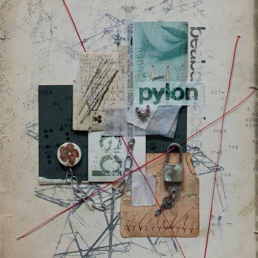 Beabadoobee – Pylon (Coloured Vinyl) LP vinyl record, image 1 of 2