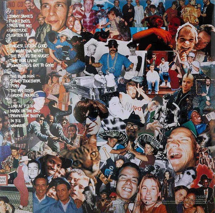 Beastie Boys – Check Your Head (2xLP) LP vinyl record, image 2 of 3