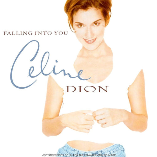 Céline Dion – Falling Into You (2xLP) (LP, Vinyl Record Album)