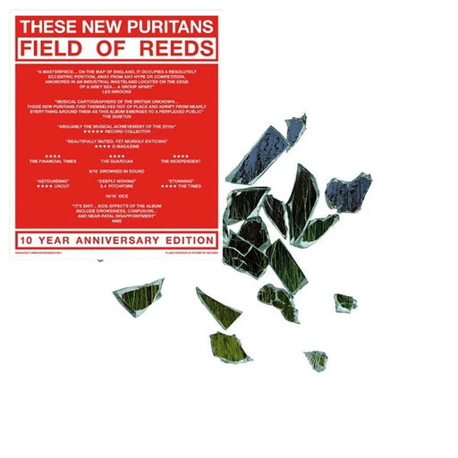 These New Puritans – Field Of Reeds (LP, Vinyl Record Album)