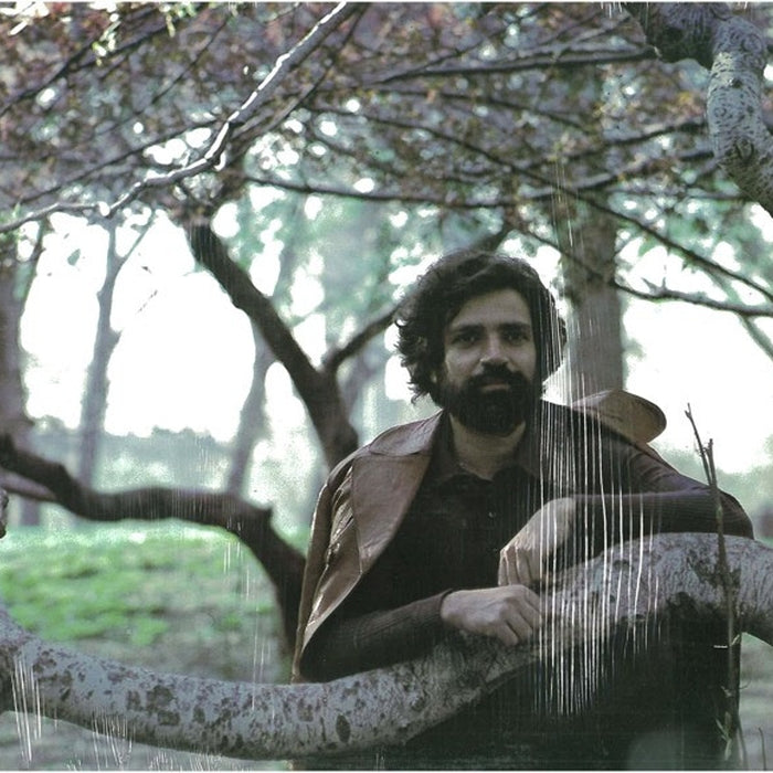 Felix Cavaliere – Destiny (LP, Vinyl Record Album)