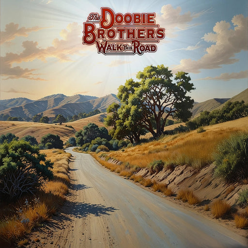 The Doobie Brothers – Walk This Road (LP, Vinyl Record Album)