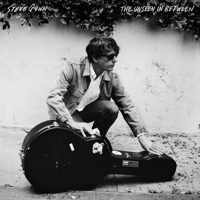 Steve Gunn – The Unseen In Between (LP, Vinyl Record Album)