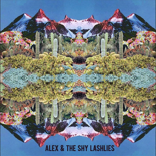 Alex & The Shy Lashlies – Eleven Hours/While You Were Sleeping (LP, Vinyl Record Album)