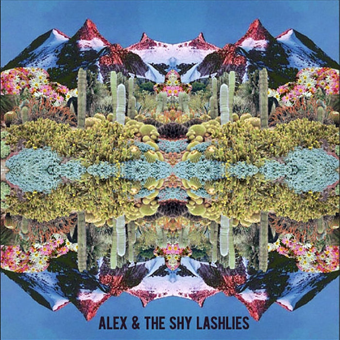 Alex & The Shy Lashlies – Eleven Hours/While You Were Sleeping (LP, Vinyl Record Album)