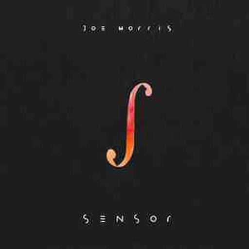 Joe Morris – Sensor (LP, Vinyl Record Album)