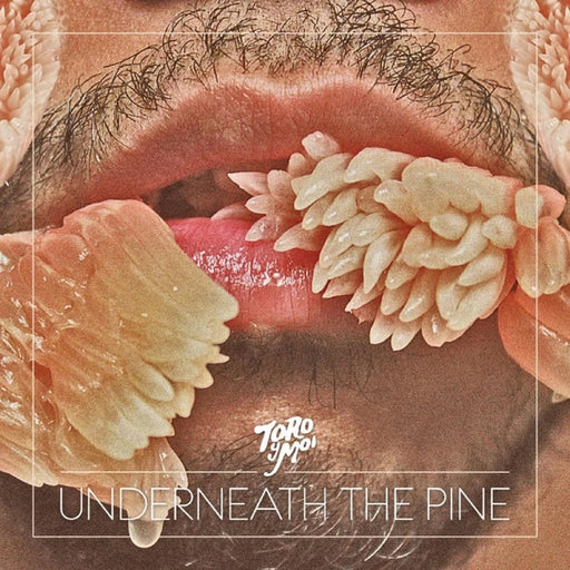 Toro Y Moi – Underneath The Pine (LP, Vinyl Record Album)