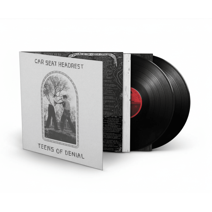 Car Seat Headrest – Teens Of Denial (2xLP) LP vinyl record, image 3 of 3