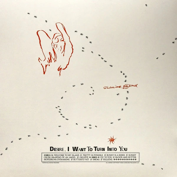 Caroline Polachek – Desire, I Want To Turn Into You LP vinyl record, image 2 of 2