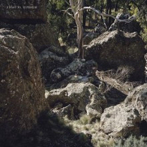 Superstar – A Toast To... (LP, Vinyl Record Album)