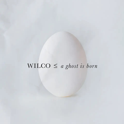Wilco – A Ghost Is Born (2xLP) (LP, Vinyl Record Album)