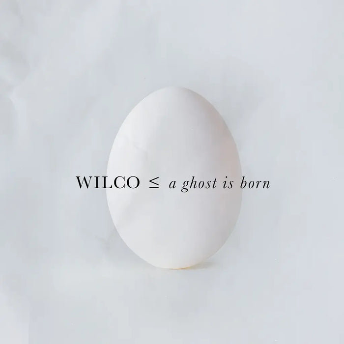 Wilco – A Ghost Is Born (2xLP) (LP, Vinyl Record Album)
