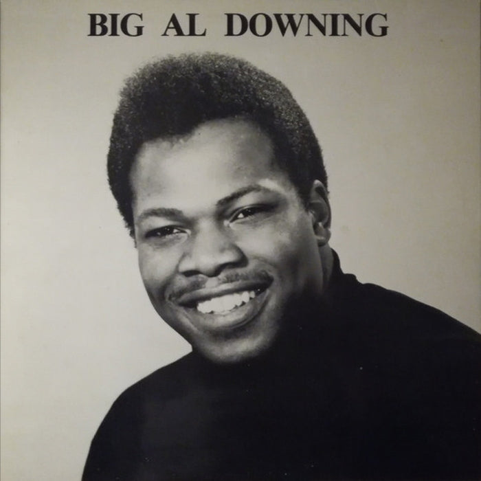 Al Downing – Big Al Downing And The Poe-Kats (LP, Vinyl Record Album)