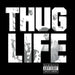 Thug Life – Volume 1 (LP, Vinyl Record Album)