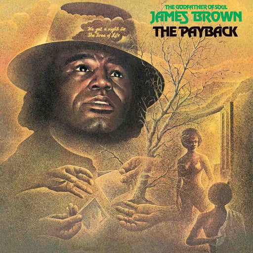 James Brown – The Payback (LP, Vinyl Record Album)