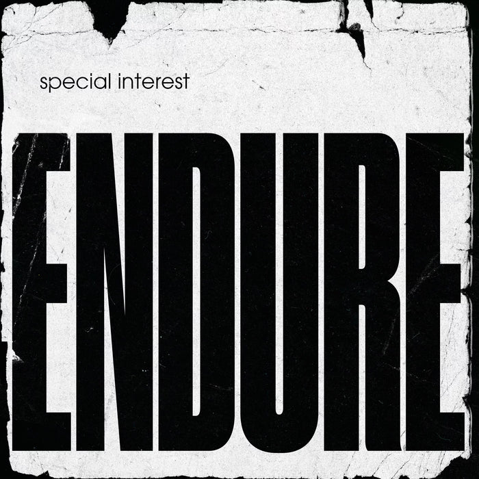 Special Interest – Endure LP vinyl record