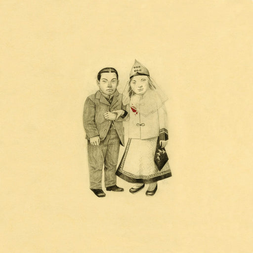 The Decemberists – The Crane Wife (2xLP) LP vinyl record, image 1 of 2