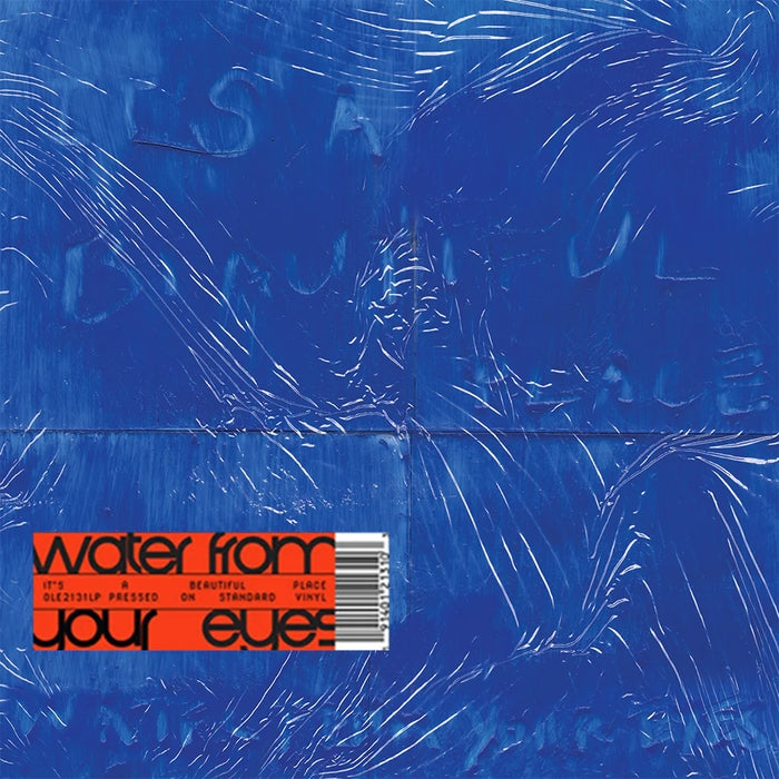 Water From Your Eyes – It's A Beautiful Place (LP, Vinyl Record Album)