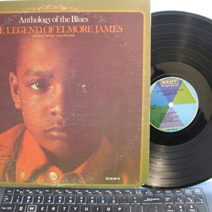 Elmore James – The Legend Of Elmore James (LP, Vinyl Record Album)