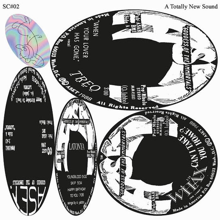 Various – A Totally New Sound (LP, Vinyl Record Album)