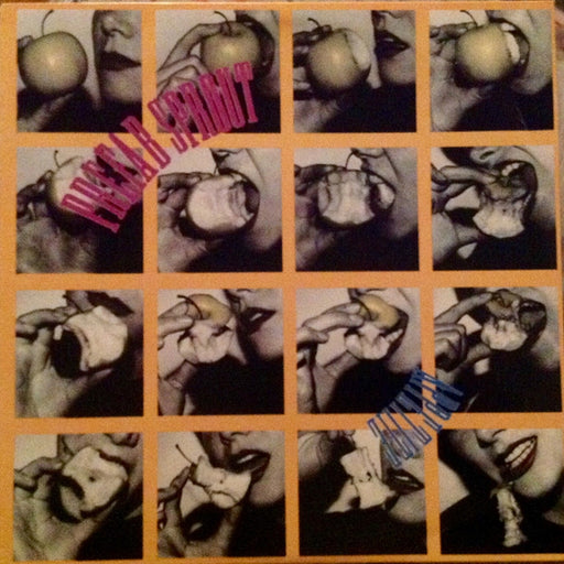 Prefab Sprout – Appetite (LP, Vinyl Record Album)