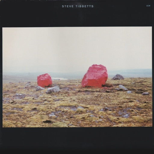 Steve Tibbetts – Exploded View (LP, Vinyl Record Album)