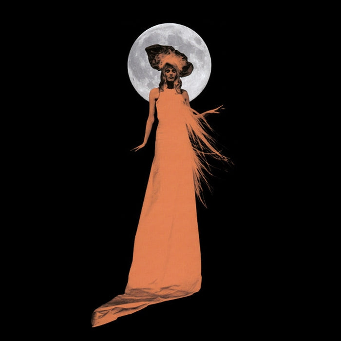 Karen Elson – The Ghost Who Walks (LP, Vinyl Record Album)