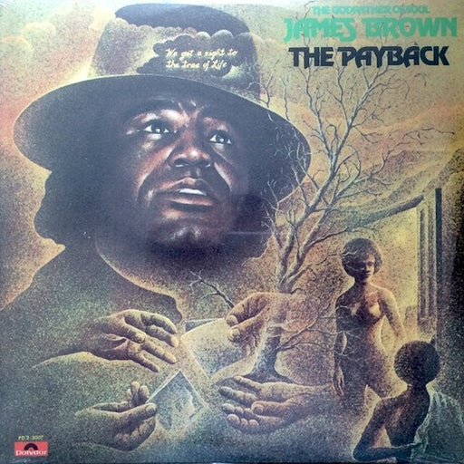 James Brown – The Payback (LP, Vinyl Record Album)