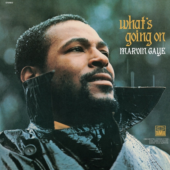 What's Going On – Marvin Gaye (LP, Vinyl Record Album)