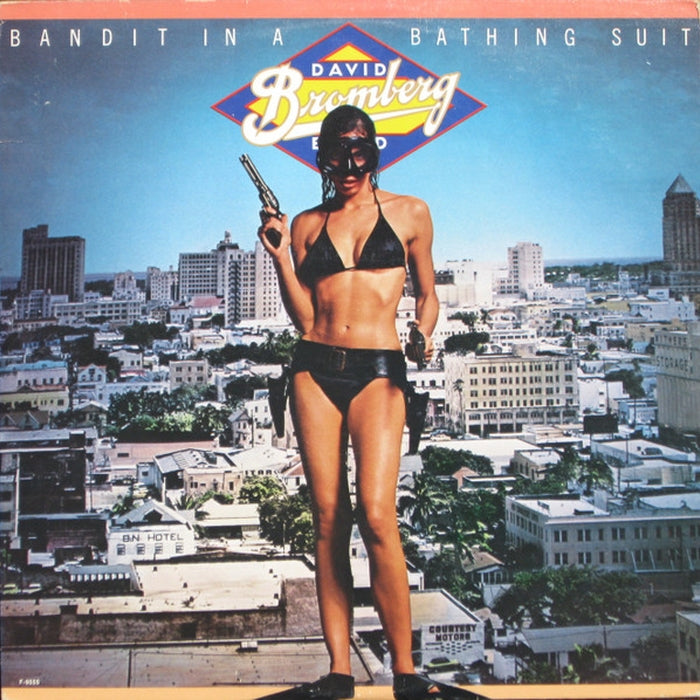 David Bromberg Band – Bandit In A Bathing Suit (LP, Vinyl Record Album)