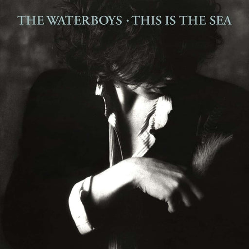 The Waterboys – This Is The Sea (LP, Vinyl Record Album)