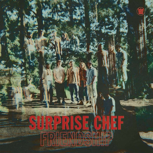 Surprise Chef – Friendship (LP, Vinyl Record Album)
