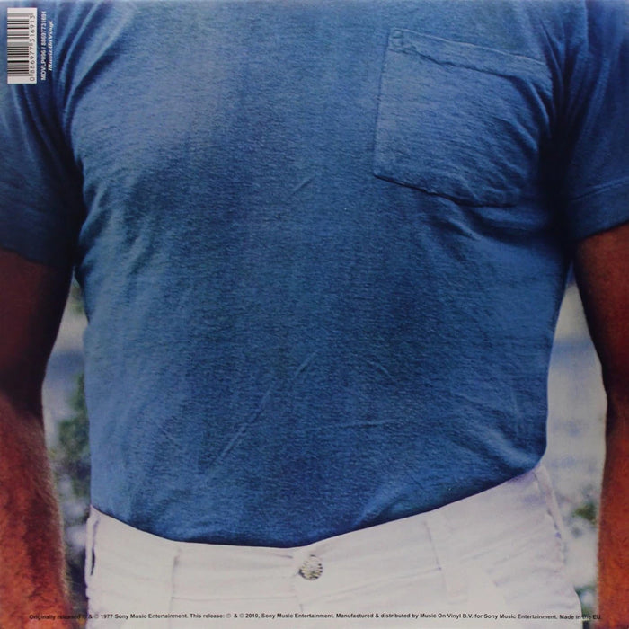 Dennis Wilson – Pacific Ocean Blue LP vinyl record, image 2 of 2