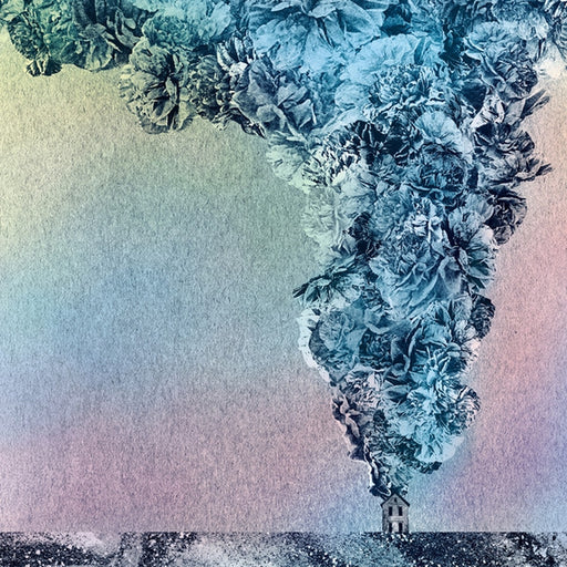 Daughn Gibson – Carnation (LP, Vinyl Record Album)