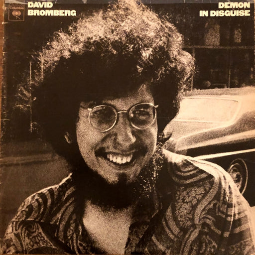 David Bromberg – Demon In Disguise (LP, Vinyl Record Album)