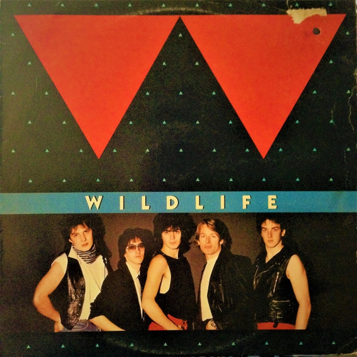 Wildlife – Wildlife (LP, Vinyl Record Album)