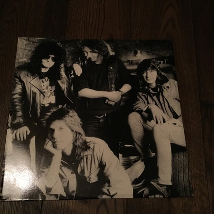 The Georgia Satellites – Open All Night (LP, Vinyl Record Album)